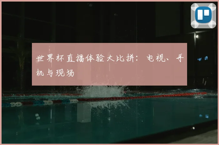 世界杯直播体验大比拼:电视、手机与现场