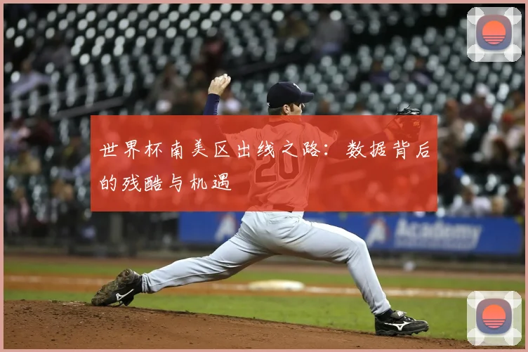 世界杯南美区出线之路：数据背后的残酷与机遇