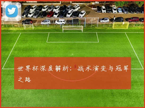 世界杯深度解析：战术演变与冠军之路