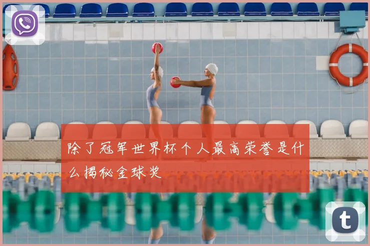 除了冠军世界杯个人最高荣誉是什么揭秘金球奖