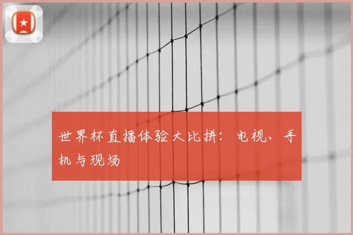 世界杯直播体验大比拼:电视、手机与现场