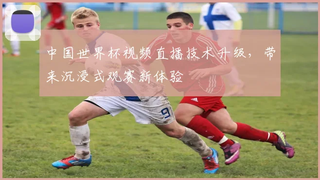 中国世界杯视频直播技术升级，带来沉浸式观赛新体验