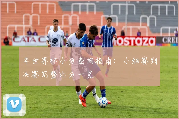 年世界杯小分查询指南：小组赛到决赛完整比分一览