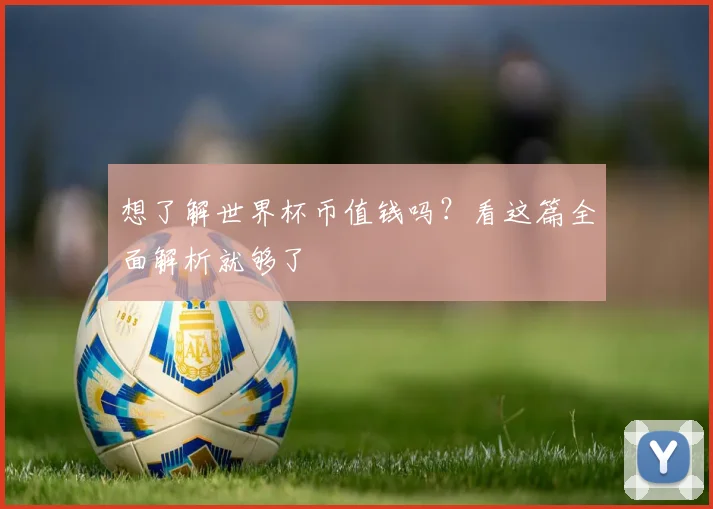 想了解世界杯币值钱吗？看这篇全面解析就够了
